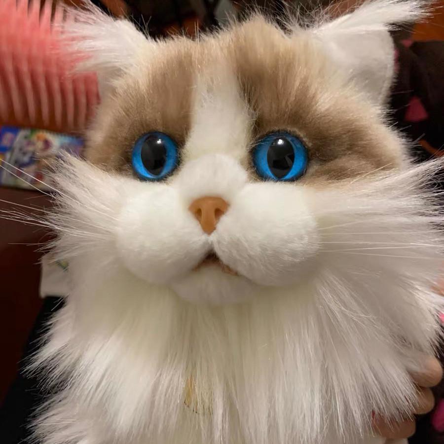 Cute Realistic Cat Plush Toy Fluffy Kitten Soft Stuffed Animal For Children