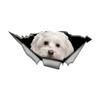 Maltese Dog Car Stickers Funny Waterproof Vinyl Decal Motorcycle Decorative Accessories, Used for Car, Motorcycle, Laptop, Van
