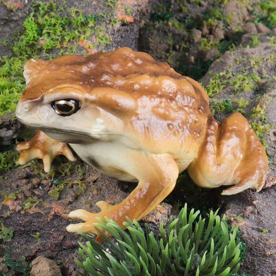 Фигурка древесной лягушки, реалистичная статуя жабы, скульптура, украшение, украшение, детская образовательная симуляция, модель дикого животного, игрушка для малышей, мальчиков и девочек, подарок