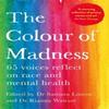 The Colour of Madness by Rianna Walcott Paperback Book 9781035044399
