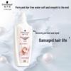 volumizing oil control anti-dandruff ginger essence shampoo 600ml