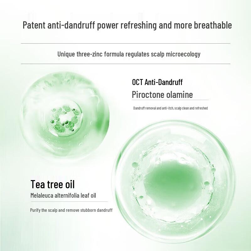 Raclen Anti-Dandruff Oil Control Volumizing Shampoo (2 x 400ml)