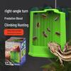 Feeding Dish for Lizards and Geckos - Hangable and Portable, Mimics Hunting and Wild Predation