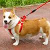 Dog Harness with Leash Dog Training Vest Lead Rope with Soft Padded Handle Pet Traction Supplies for Small And Medium Dogs Cats