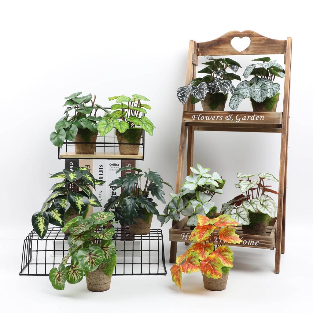 Искусственные зеленые растения для настольного украшения в помещении Эвкалипт Лист банана Спина черепахи Маргаритка Гибискус