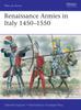 Книга Renaissance Armies In Italy 1450-1550