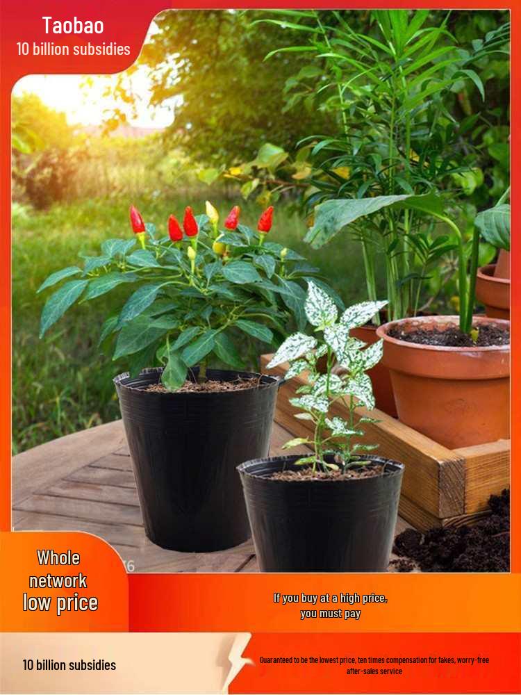 Thickened Plastic Seedling Pot - Large, Disposable, Nutrient-Rich for Agriculture & Flowers