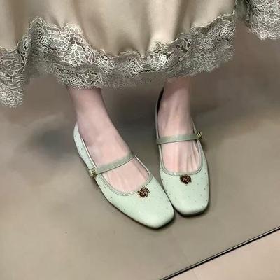 Туфли женские Camellia Mary Jane с новой металлической пряжкой, на толстом каблуке, одинарные туфли женские весенне-осенние, с высоким каблуком