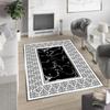 Washable Printed Carpet RVG0853-FNL63