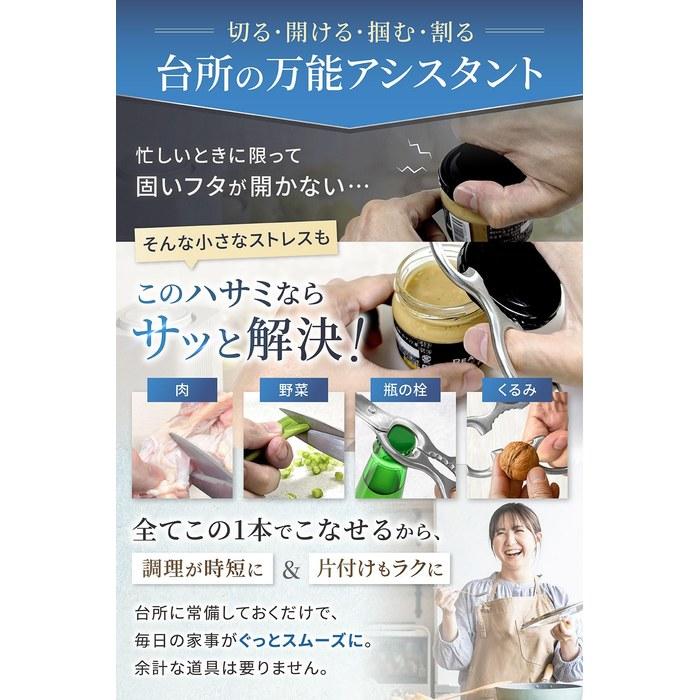 [Kitchen Basics] Kitchen Shears Disassemblable, Dishwasher Safe, All Stainless Steel, with Sharpening Stone (Right-Handed)