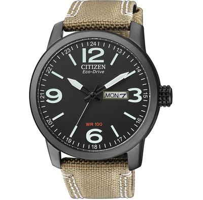 Часы Citizen Eco-Drive BM8476-23EE