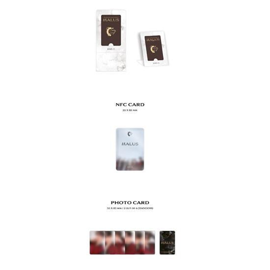 ONEUS - MALUS (8-й мини ) POCA вер.