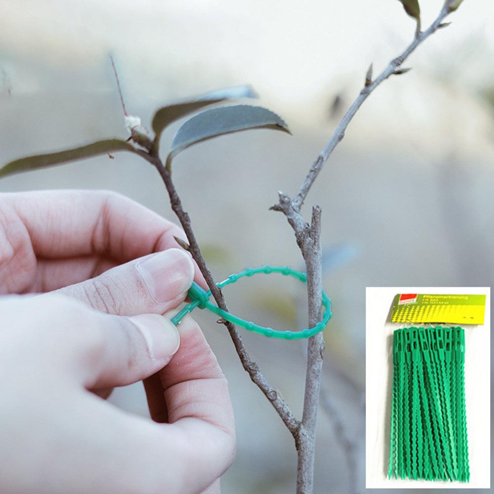 10 шт. квадратный цветочный горшок для рассады, мини-пластиковые цветочные горшки для рассады растений, цветной квадратный цветочный горшок, поддон для цветов для домашнего сада