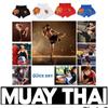 Tiger Muay Thai Shorts MMA UFC Martial Arts Pants Kickboxing Boxing Fight Unisex Men Women Kid Quick Dry Print Elastic Polyester Training