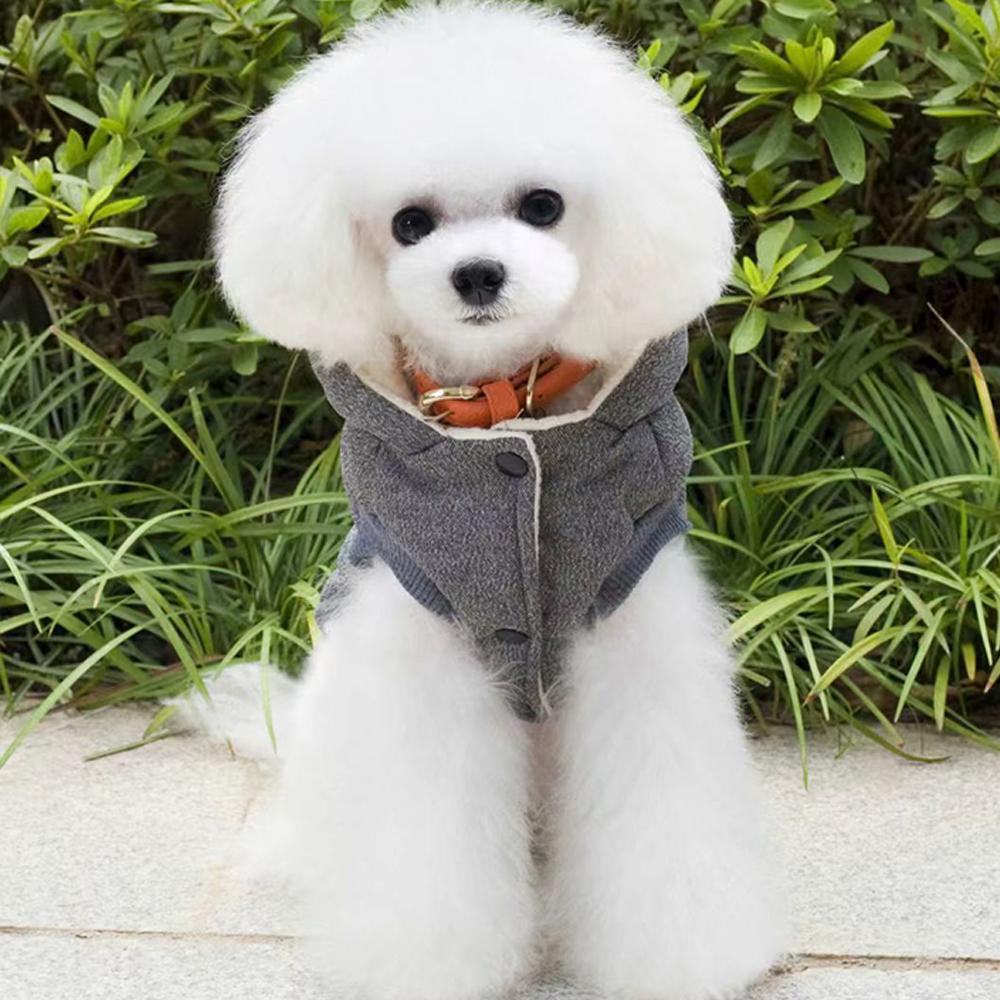 Зимняя одежда для собак, теплый хлопок для маленьких собак, флисовая куртка для щенков, мягкая куртка для собак, толстовка с капюшоном для чихуахуа, наряд для ши-тцу, одежда Yorkies Customes