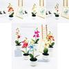 Simulated Phalaenopsis Potted Artificial Artificial Flower For Wedding Decor And Artistic Photography