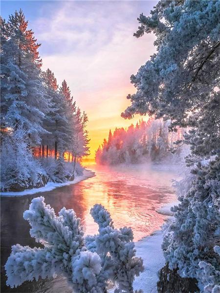 Полный квадратный круглый набор для алмазной живописи Дерево Снег Домашний декор Вышивка Мозаика Зимний пейзаж Настенное искусство