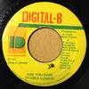 7inch Record SHABBA RANKS - Are You Sure NONE Digital-B Jamaica Reggae, Ska & Dub Used