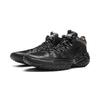 Баскетбольные кроссовки Li Ning Jie Ao 2High Мужские Высокие Черные ABFU047-7