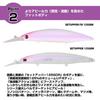 Daiwa Sinking Minnow SLZ Set Upper FB 125SDR Konuma Special 3D Sparkle Ver.