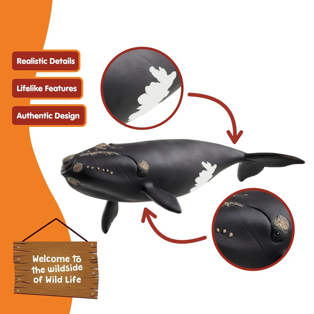Schleich Wildlife Атлантический гладкий кит 14878