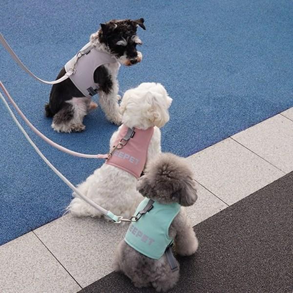 Dog Boutique Шлейка для собак, комплект одежды, комплект свинцового поводка, нагрудный поводок, товары для прогулок, серый