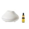 Seven-Color Flame Aromatherapy Humidifier & USB Atmosphere Lamp