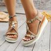 Beach Vacation Women's Sandals 2025 Summer Fashion New Sandals Classic Wedge Thick Bottom Comfortable Open Toe Hollow High Heels