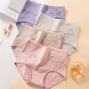 külotlar – Briefs-shorts