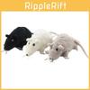 Horror Black Rat Plush Toy For Kids And Adults Alike 20cm Soft And Cuddly Stuffed Doll