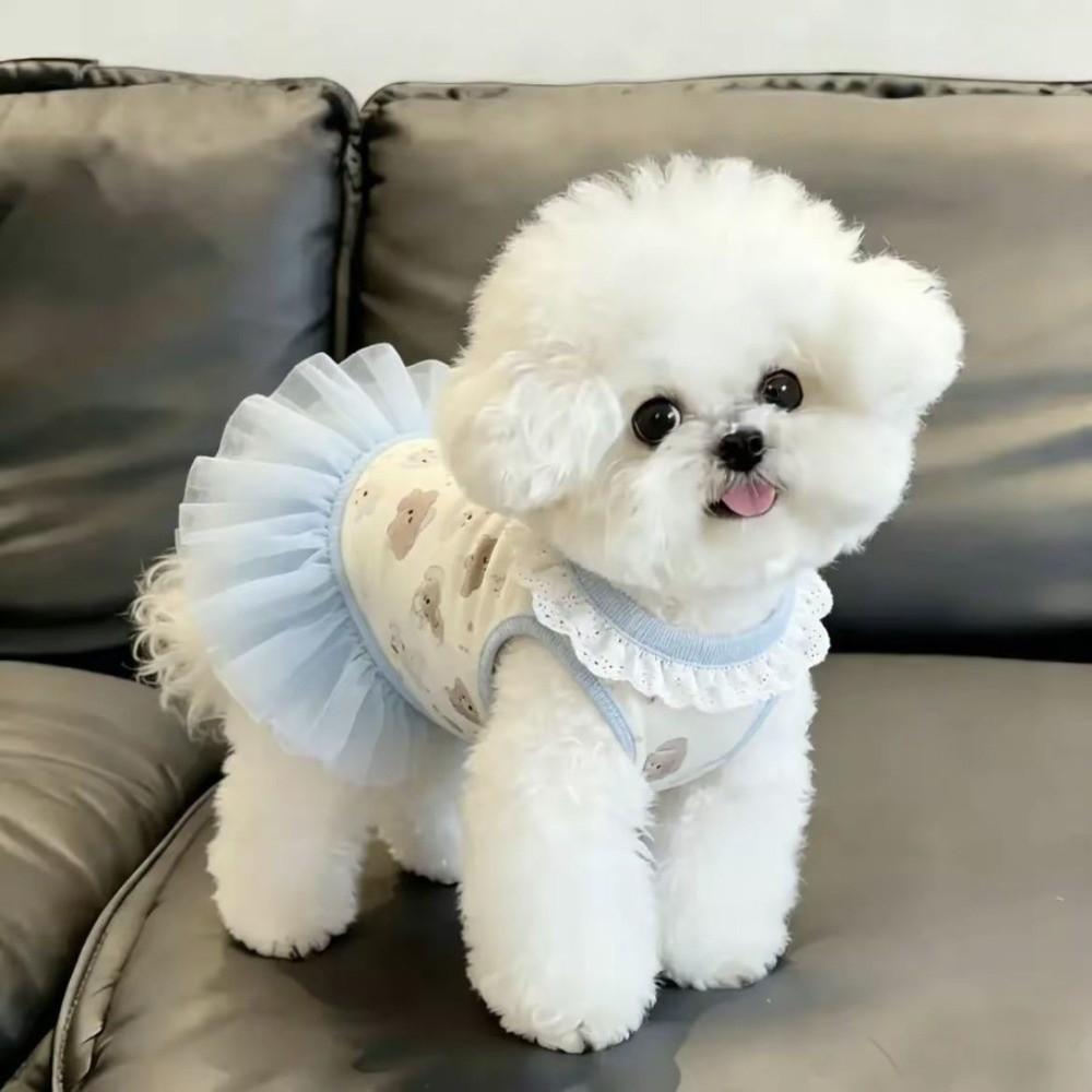 Blue Color Teddy Dog Skirt Cute Style Princess Dress New Summer Dog Dress for Small Dogs