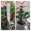 2 шт., палка для скалолазания, универсальная многоразовая штабелируемая колонна для воды, сфагнума и мха, поддержка для сада
