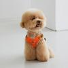Thump In My Heart Prettyness Dog Harness Set, Red