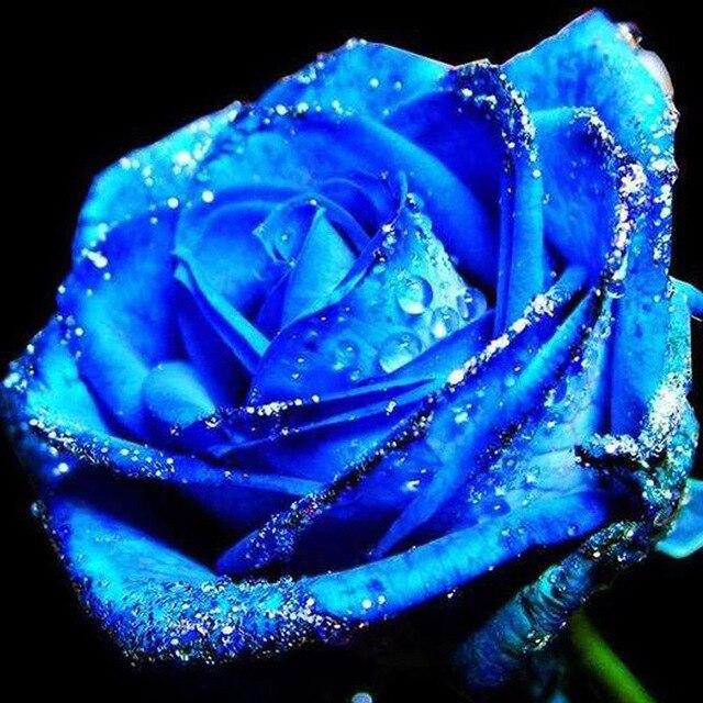 5D Алмазная мозаика "Роза" в ассортименте 50x50см