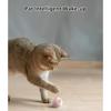 Power Ball Cat Toy, Interactive Cat Smart Ball Toy, Automatic Power Rolling Ball, Indoor Smart Pet Toy Ball with USB Charging