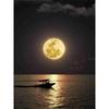 New 5D DIY Diamond Painting Night View Diamond Embroidery Full Moon Cross Stitch Full Round Drill Home Decor Manual Gift