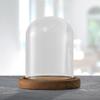 Clear Glass Dome Bell Jar Dia 3.5inch Transparent Cover Round Tabletop Display Case with Wooden Base