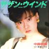 7-дюймовая пластинка AKINA NAKAMORI Southern Wind Yume Haruka L1664 REPRISE 1984 Япония Японский Поп-Рок Б/у
