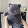 Fluffy Cat Plush Toy Cartoon Cat Stuff Doll Stuffed Toys Black Cat Plush Christmas Gift