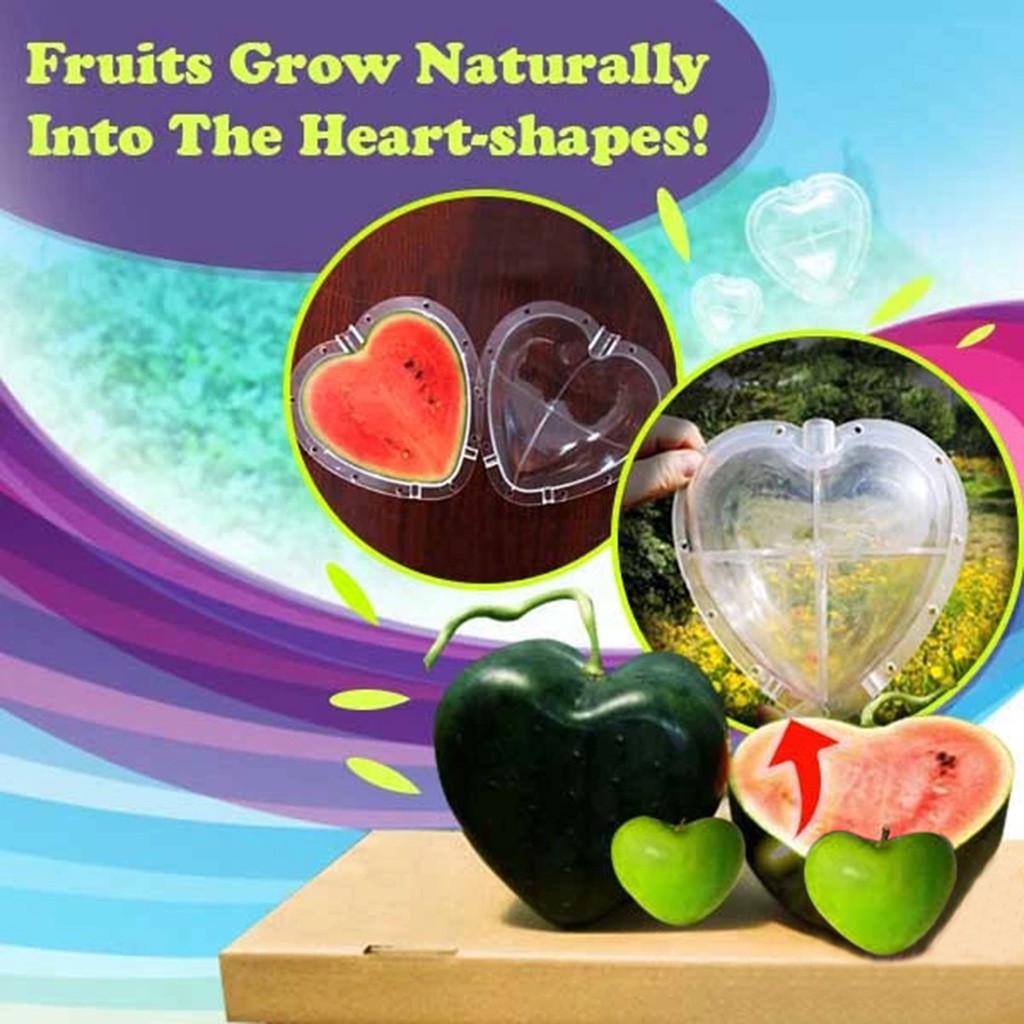  Формы для выращивания арбуза в форме сердца Форма для фруктов в форме сердца