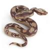 Lifelike Pvc Large Python Snake Model For Imaginative Play And Display