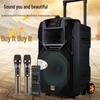 Songchuan International SS1 15-дюймовая уличная портативная акустическая система с колесами, штекер CN (адаптер в комплекте)