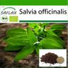 Органический - Шалфей - 60 семян - С горшечным субстратом для лучшего выращивания - Salvia officinalis