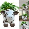 Plateau Cow Flowerpot Resin Handicraft Decoration Home Decoration Decoration Many Meat Flower