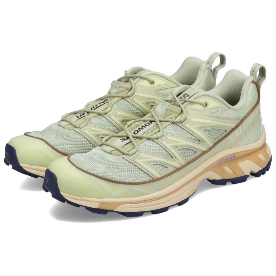 SALOMON Мужские кроссовки XT-6 Expanse Alfalfa Shortbread Green Aloe-Wash L47445600