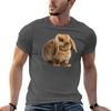 Brown Holland Lop Bunny Tshirt Basic Solid Tee For Daily Use
