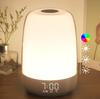 Touch Wake Up Night Light with Sunrise Simulation Alarm Clock 3 Ways Dimmable Warm White Bedside Lamp for Kid Bedrooms