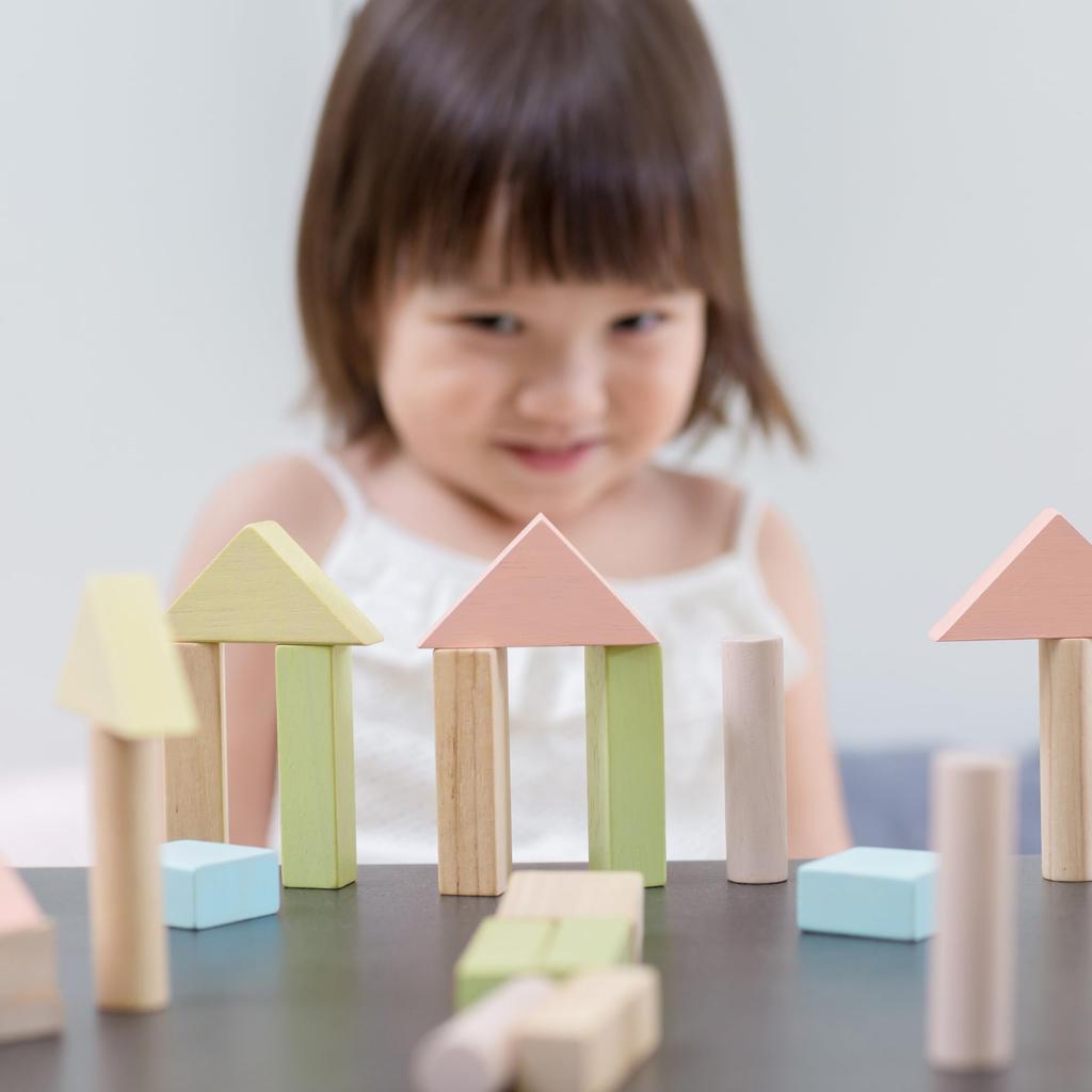 PlanToys Модульные кубики 40 Пастель 5507