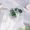 Clear Box Dollhouse Vegetable Model Simulated Design Simulated Food Dolls House Accessories  Gift