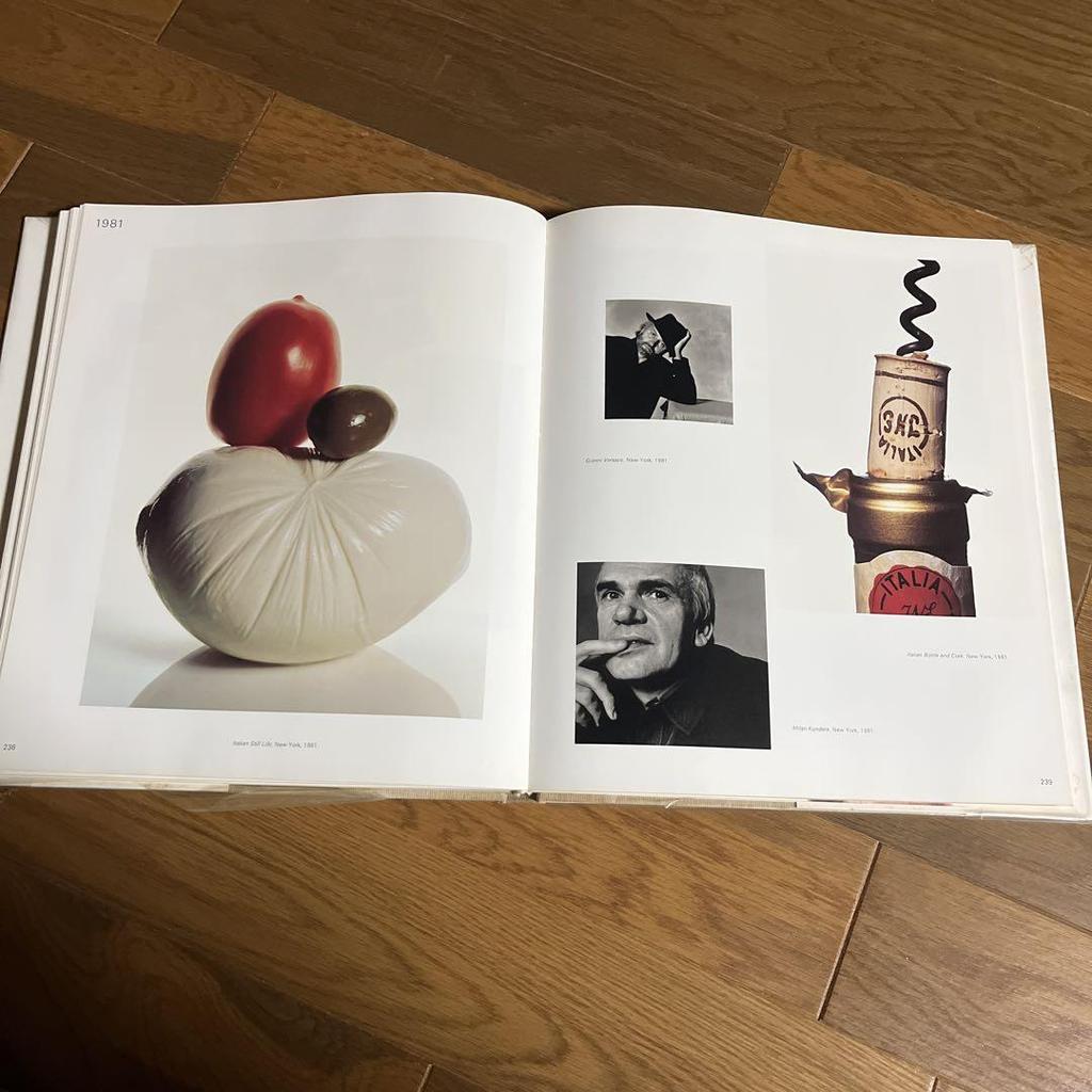 [USED] PASSAGE Irving Penn Photo Collection 1987